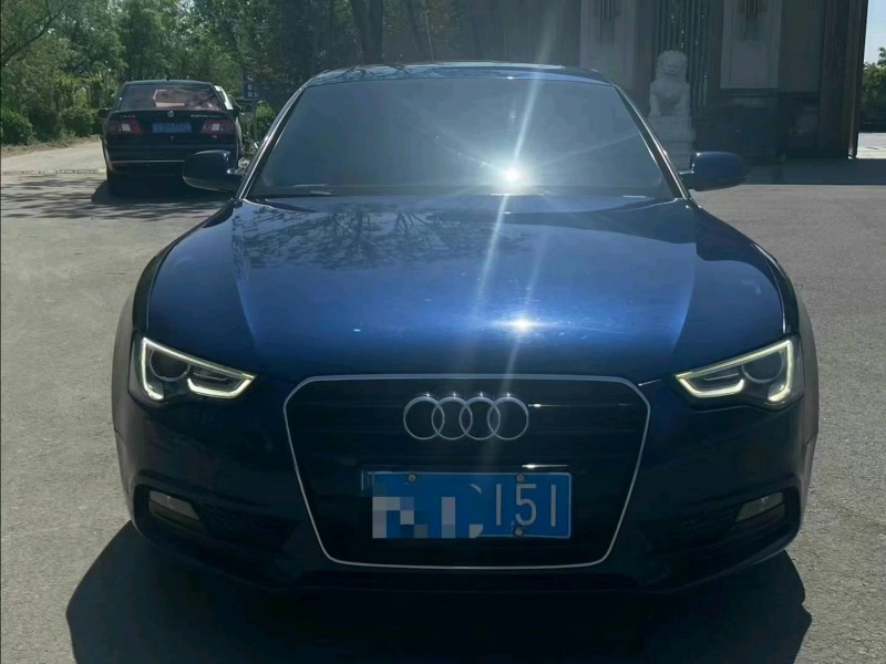 廊坊15年奧迪A51