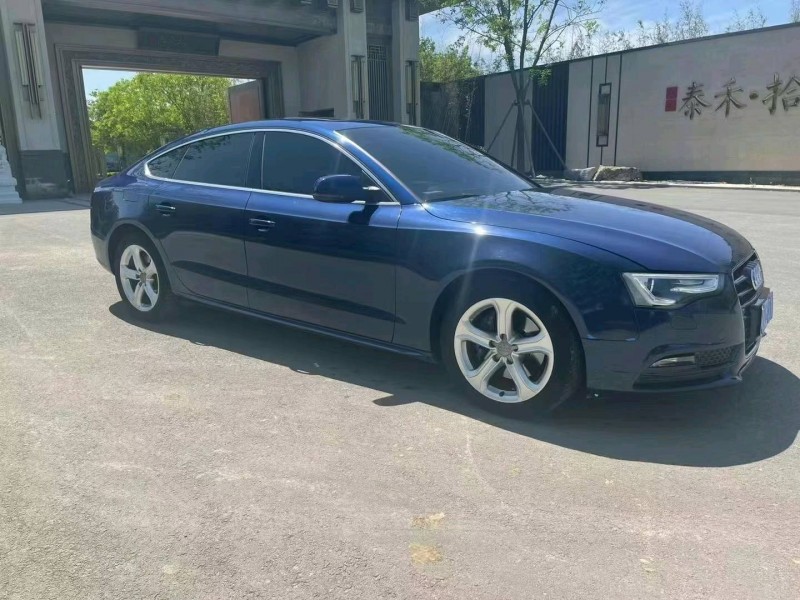 廊坊15年奧迪A53