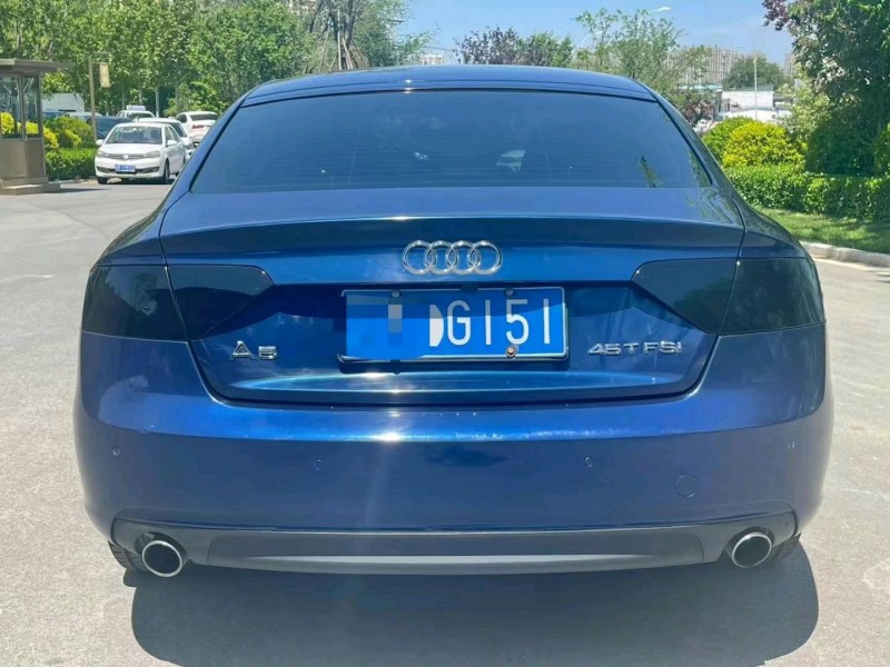 廊坊15年奧迪A59