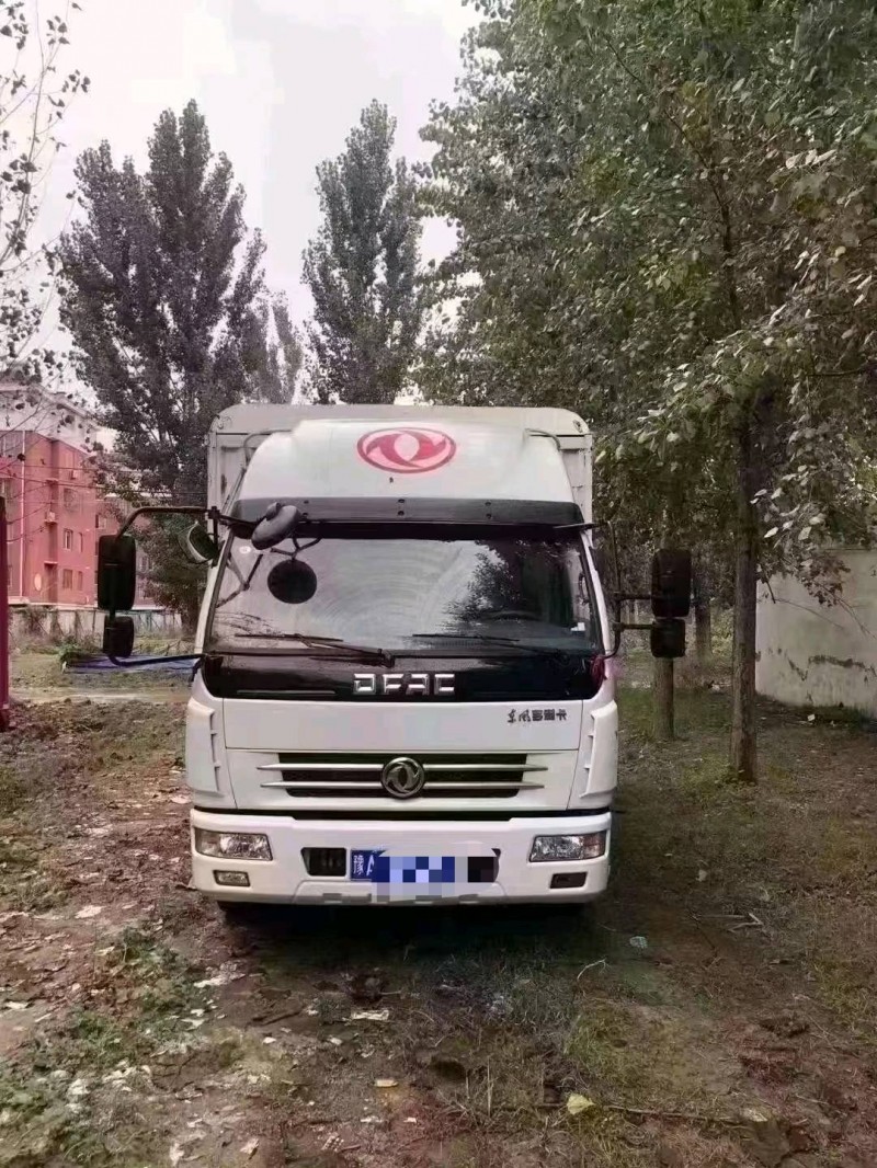 北京20年东风多利卡1