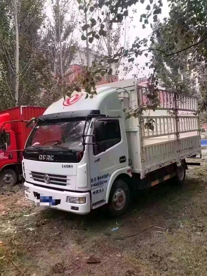 北京20年东风多利卡2