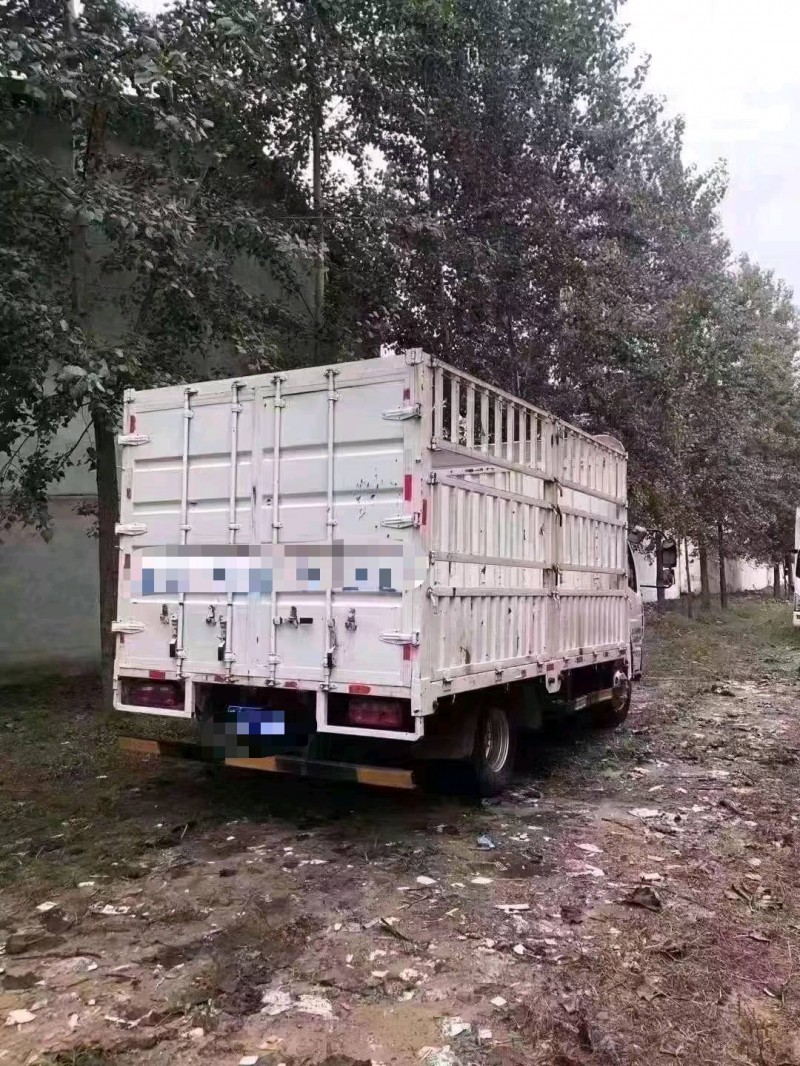 北京20年东风多利卡6