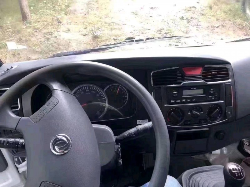 北京20年东风多利卡5