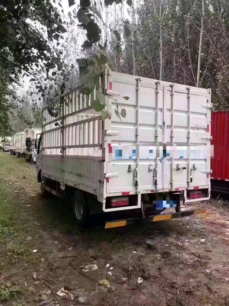 北京20年东风多利卡8