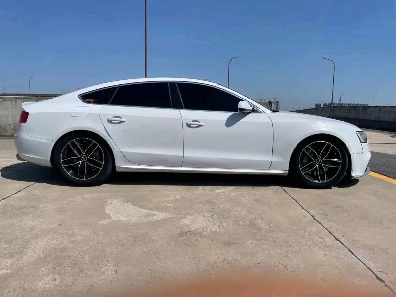 宜昌14年奧迪A52