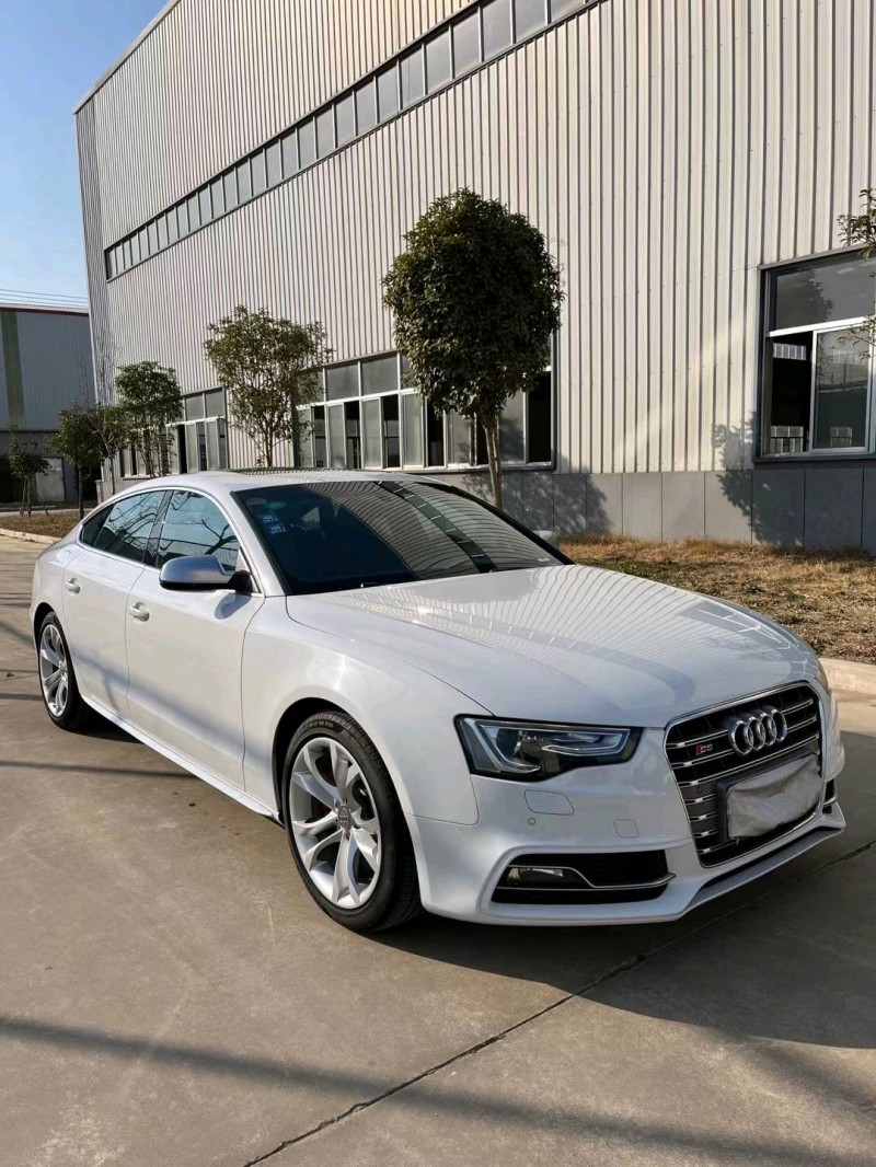 徐州16年奥迪S52