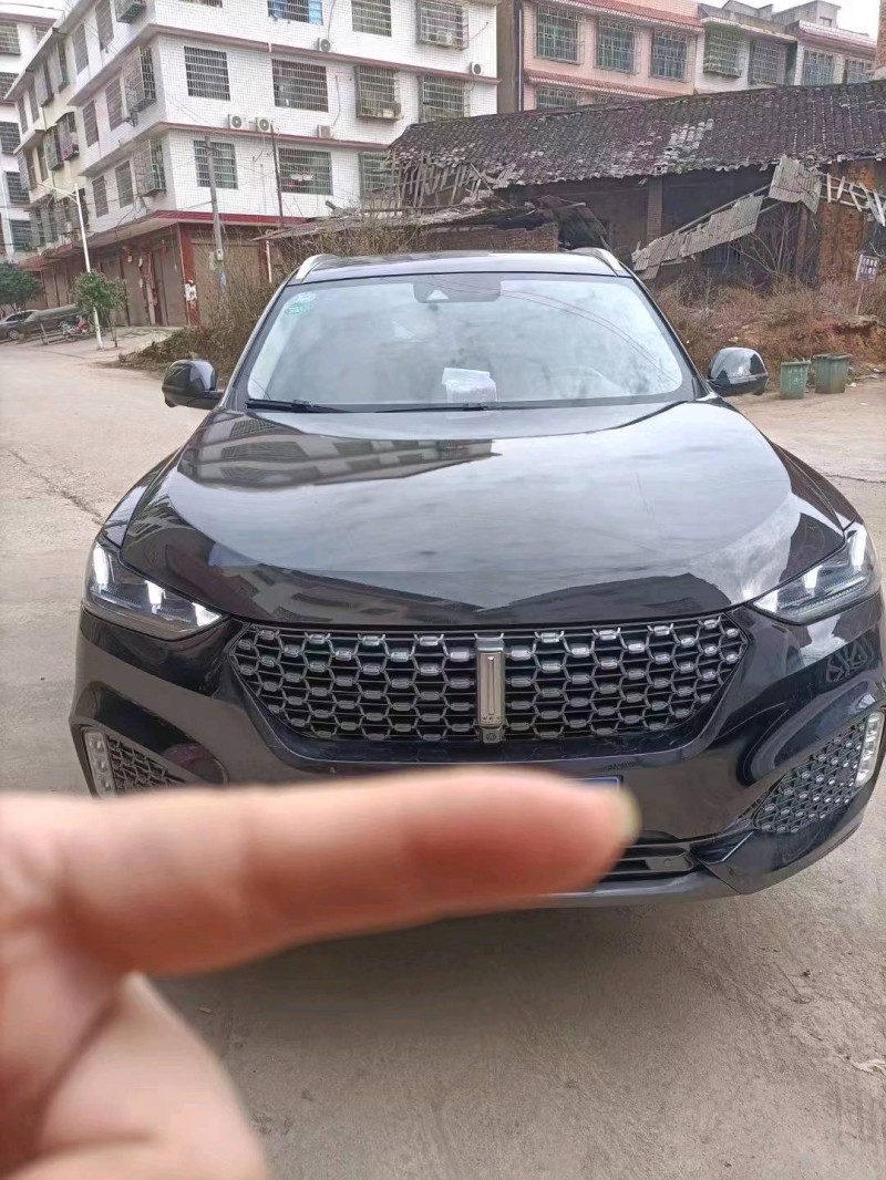 衡陽19年長城汽車WEY VV61