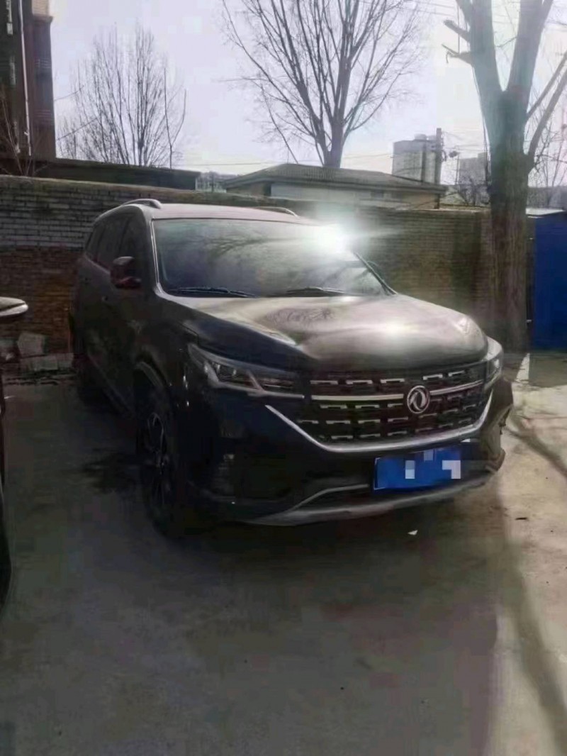 北京20年东风T53