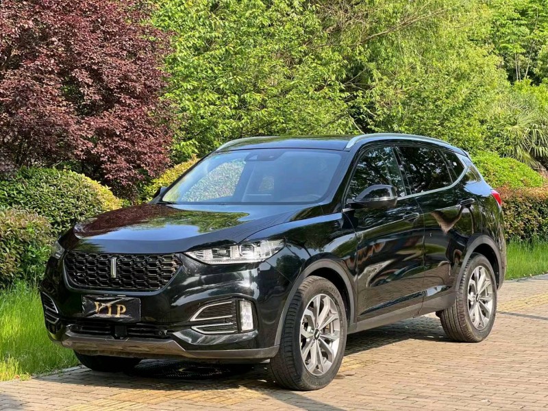 淮南19年長城汽車WEY VV64