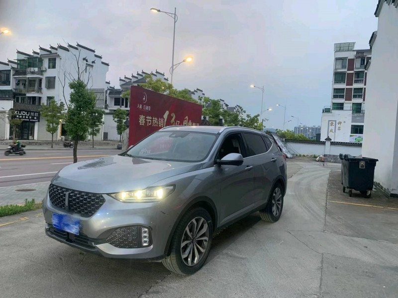 紹興20年長城汽車WEY VV61