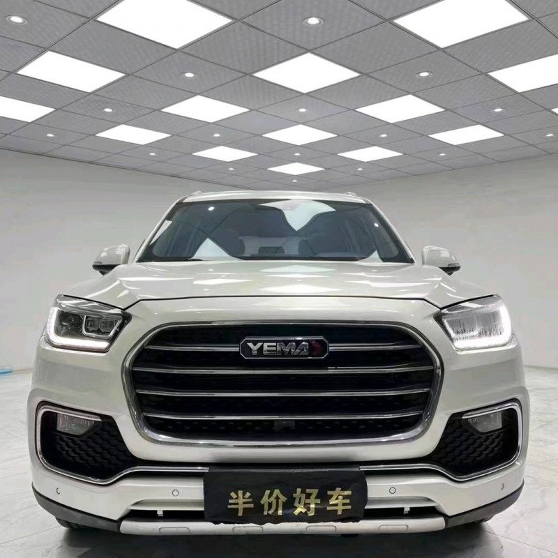 成都19年野馬汽車T801