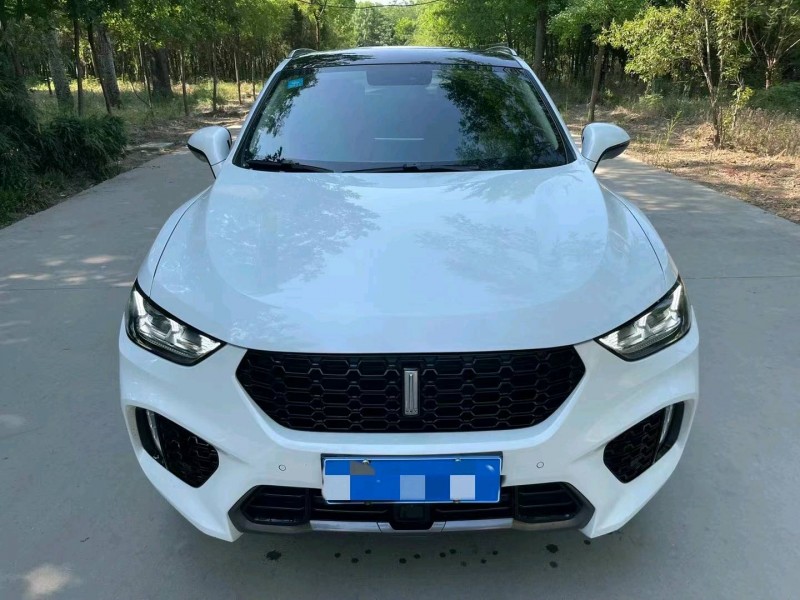 煙臺19年長城汽車WEY VV51