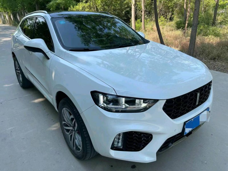 煙臺19年長城汽車WEY VV54