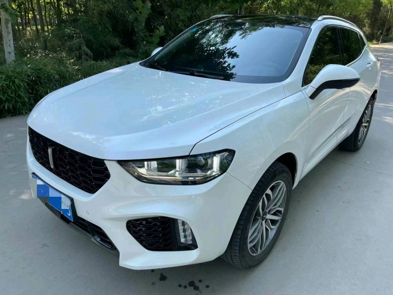 煙臺19年長城汽車WEY VV56