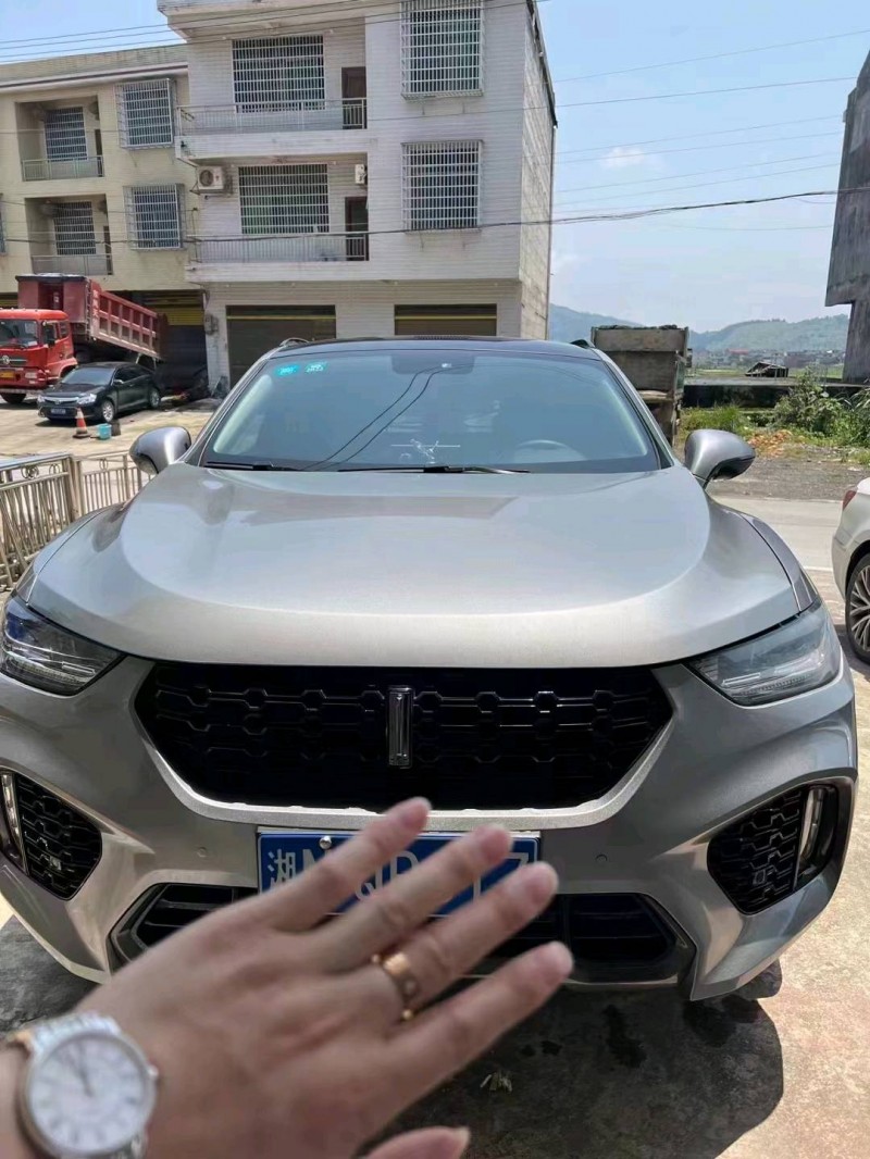 長沙18年長城汽車WEY VV51