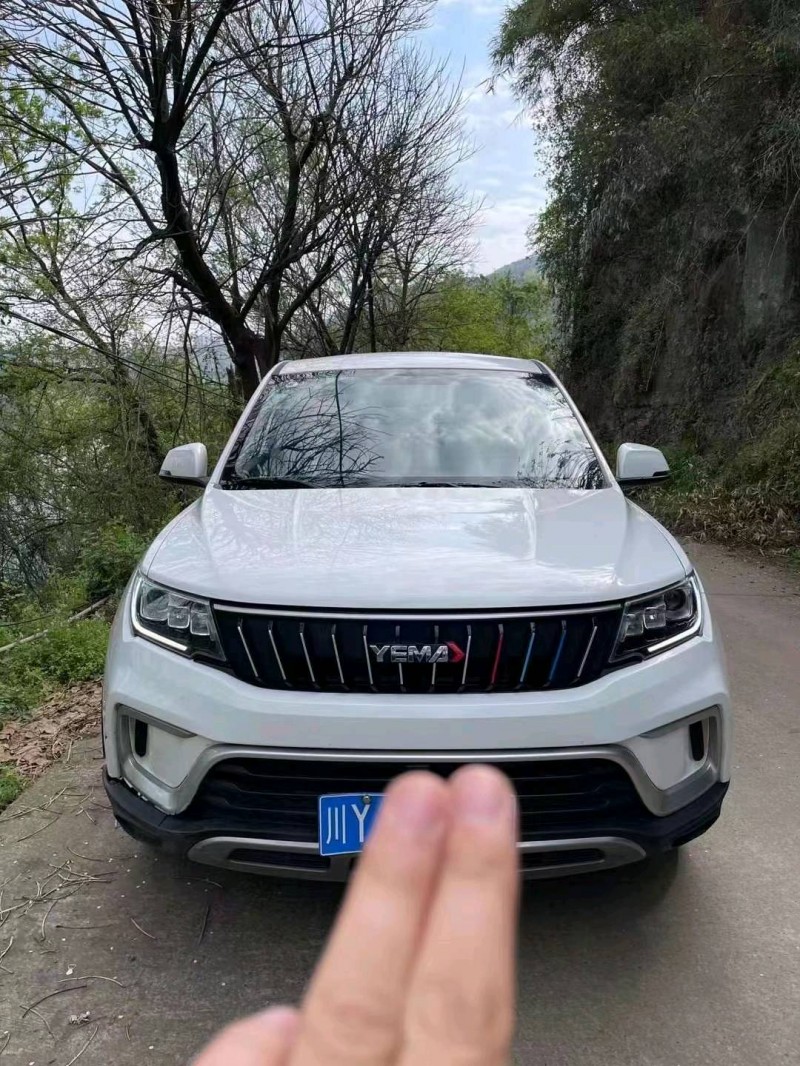 綿陽20年野馬汽車博駿1