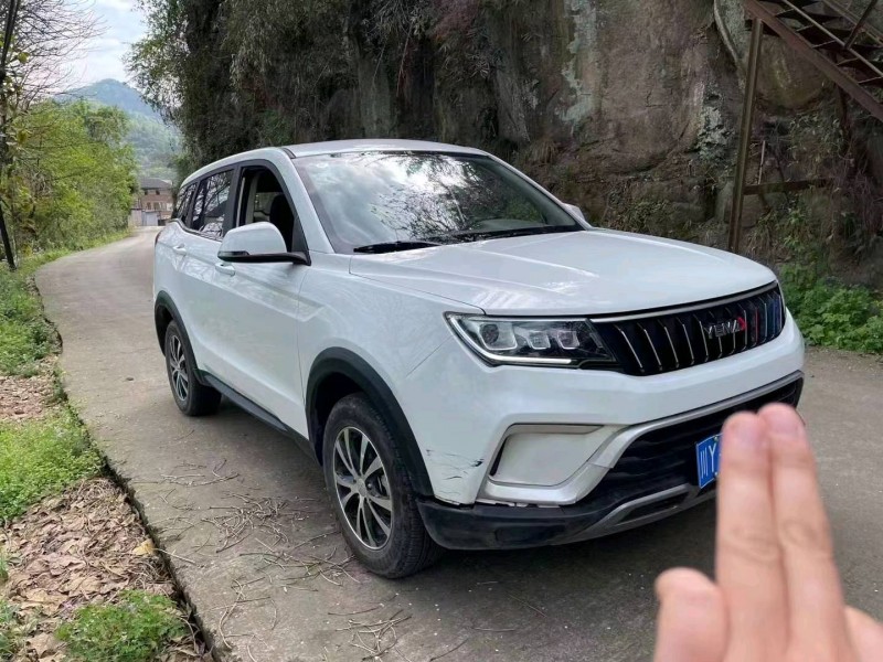 綿陽20年野馬汽車博駿2