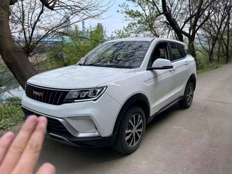 綿陽20年野馬汽車博駿3