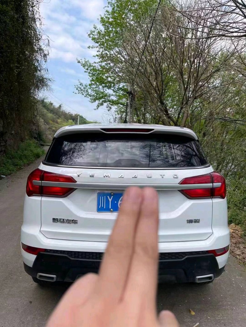 綿陽20年野馬汽車博駿4