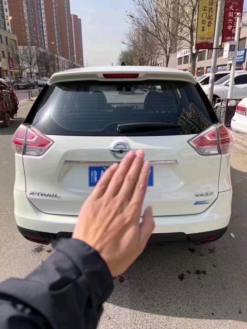 大同15年日產奇駿9