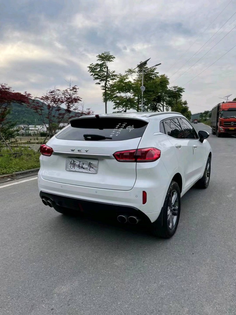 萍鄉19年WEYVV58