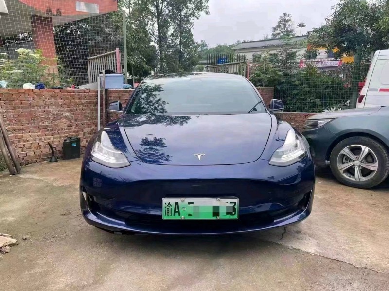 重慶20年特斯拉MODEL 31