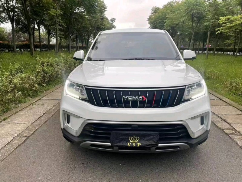 杭州21年野馬汽車博駿1