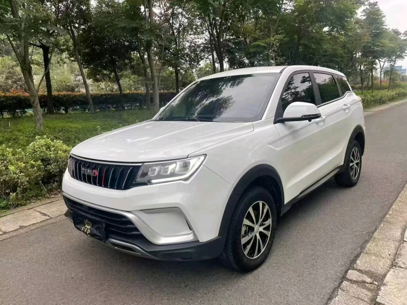 杭州21年野馬汽車博駿2