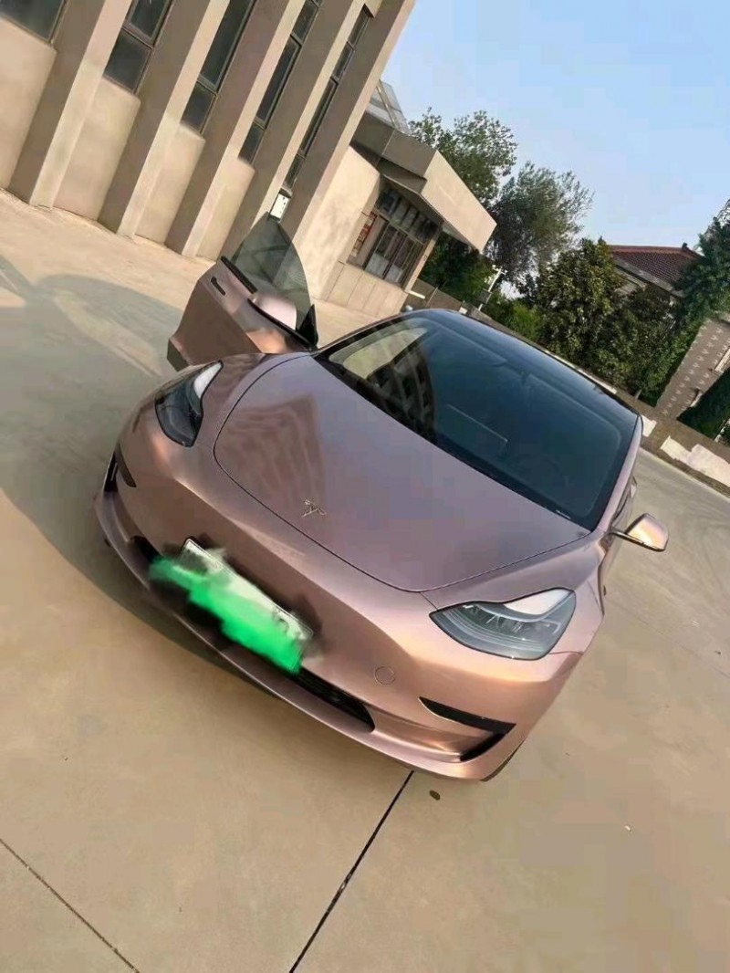 蘇州21年特斯拉MODEL 31