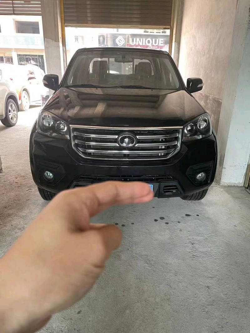 岳陽20年長城汽車風駿51
