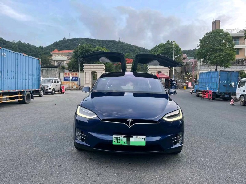 廣州19年特斯拉MODEL X1