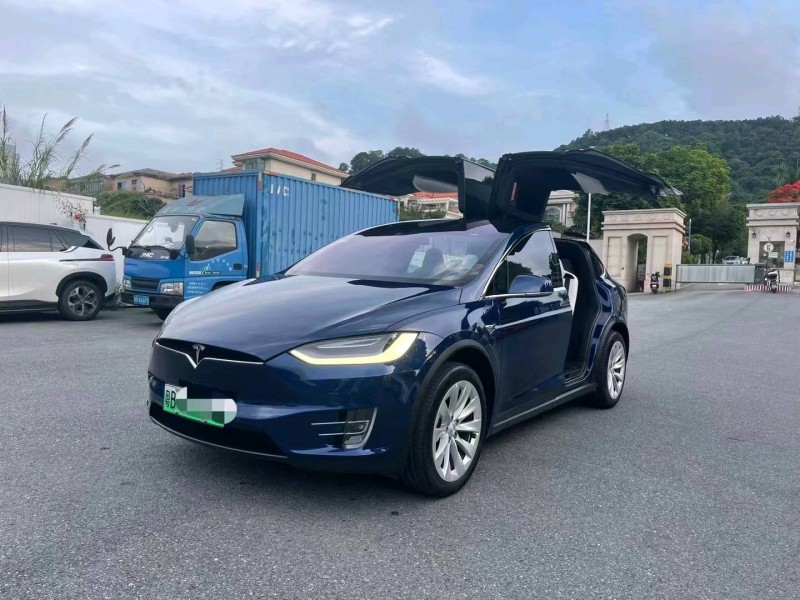 廣州19年特斯拉MODEL X2