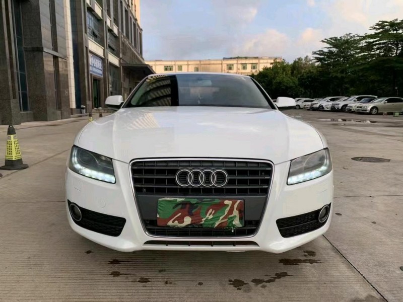 东莞11年奥迪A51