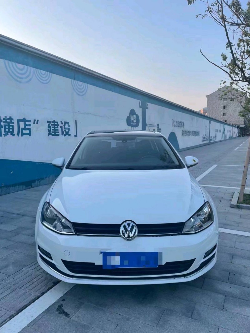 紹興16年大眾高爾夫5