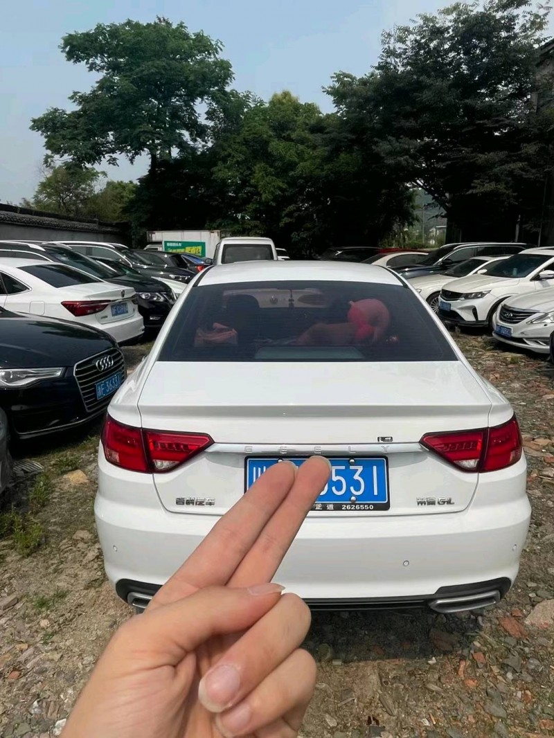 嘉興18年吉利帝豪GL9