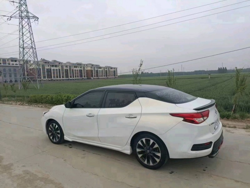 邢臺17年日產藍鳥9