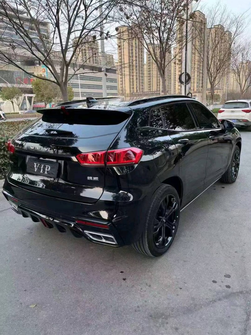 淮北20年長城汽車WEY VV77