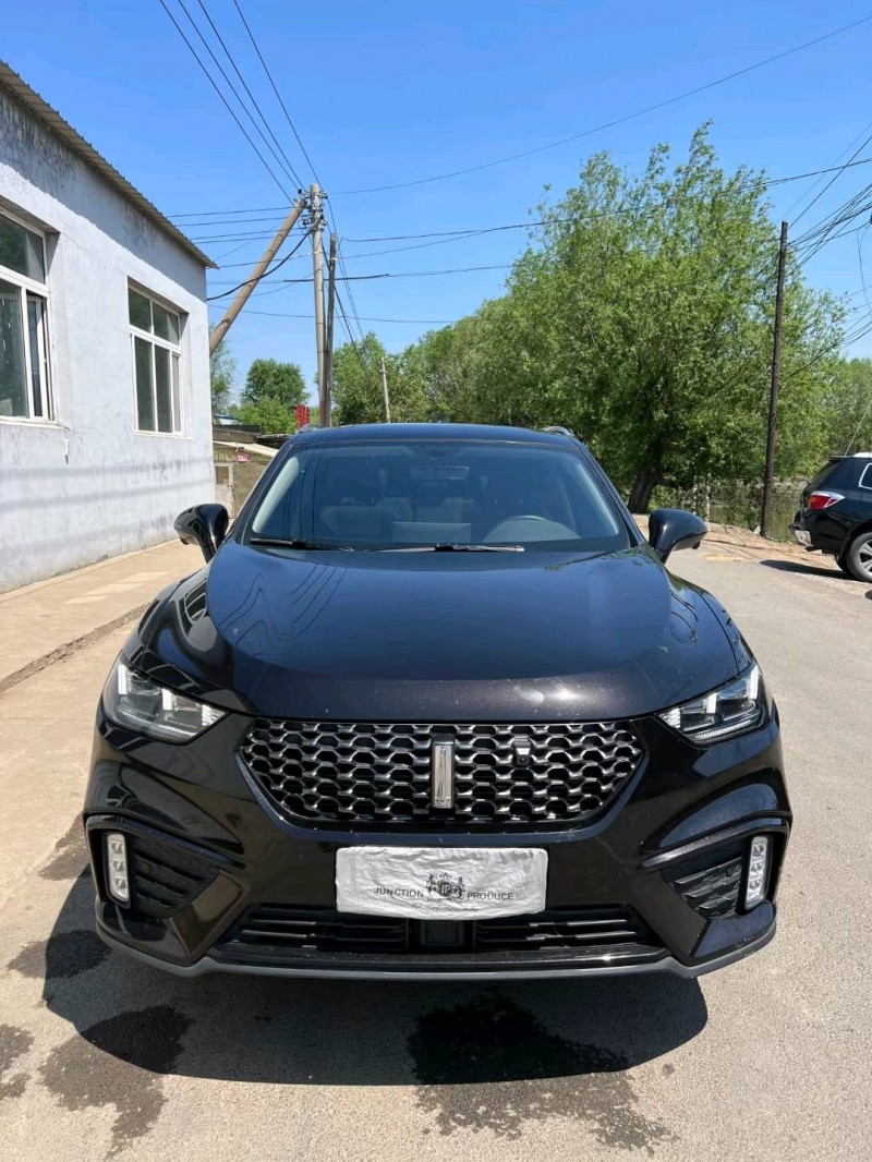 沈陽20年長城汽車WEY VV51