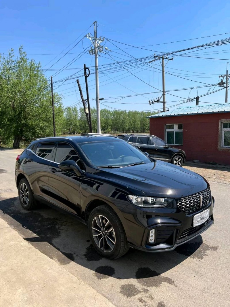 沈陽20年長城汽車WEY VV53