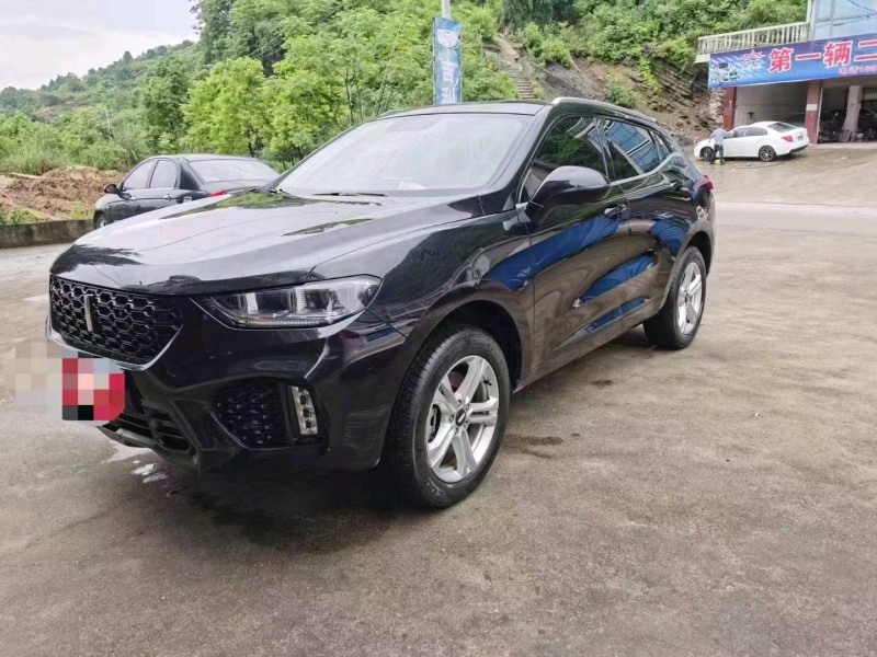 長沙19年長城汽車WEY VV56