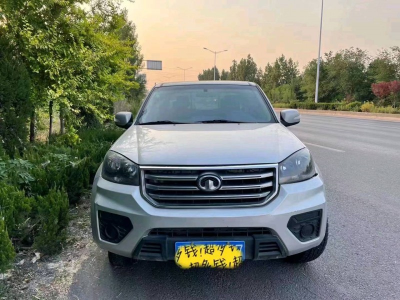 秦皇島20年長城汽車風駿51