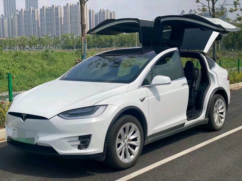 北京19年特斯拉MODEL X6