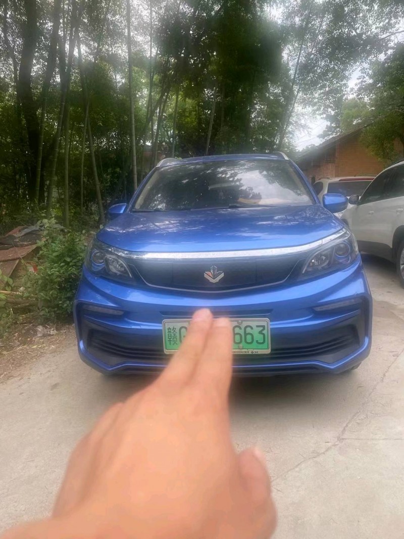 萍鄉21年吉利楓葉1