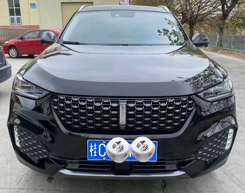 珠海20年長城汽車WEY VV61