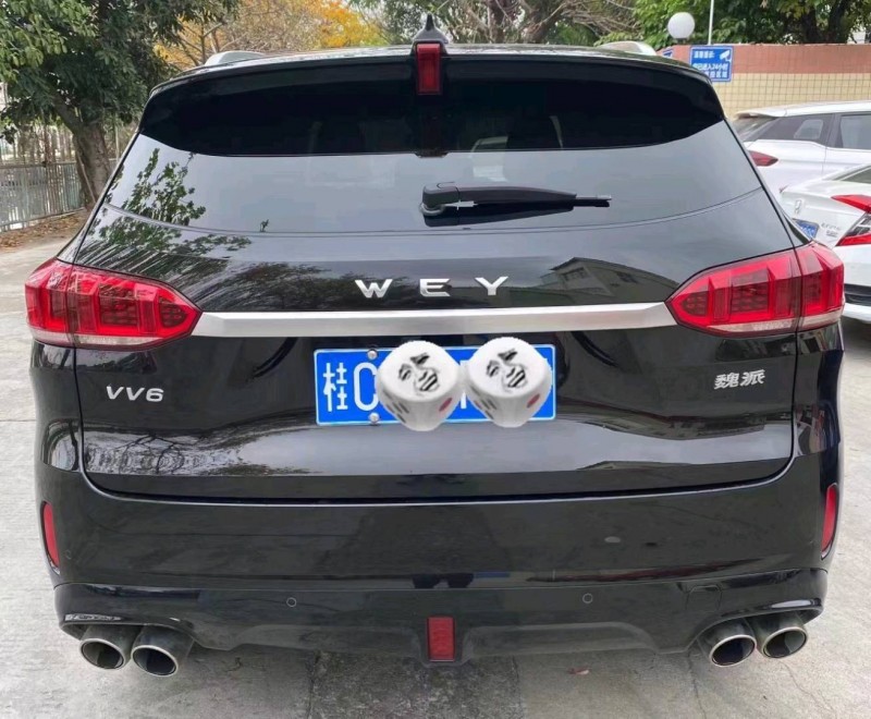 珠海20年長城汽車WEY VV63