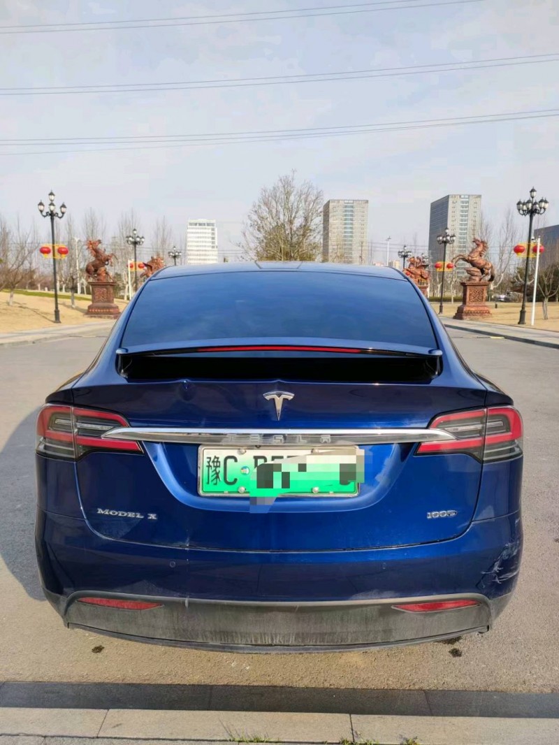 徐州18年特斯拉MODEL X1