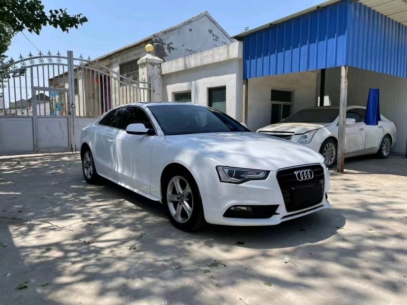 徐州14年奥迪A51