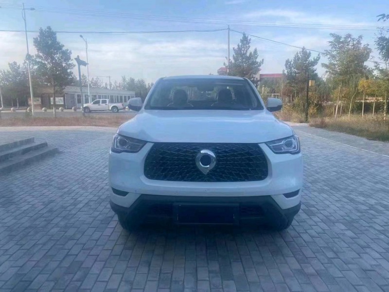 渭南21年長城汽車炮 皮卡1