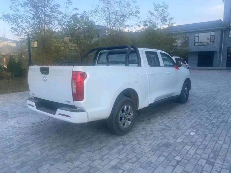 渭南21年長城汽車炮 皮卡7