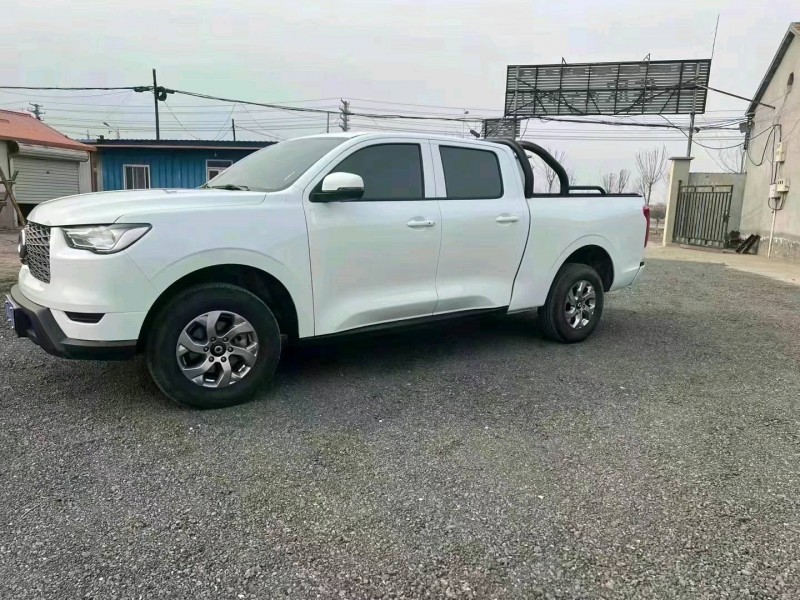 滄州21年長城汽車炮 皮卡2